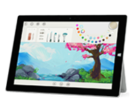 赤壁Surface 无法开启、Windows 无法启动或电池无法充电
